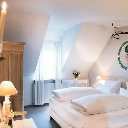 Hotel Ritzi 2*